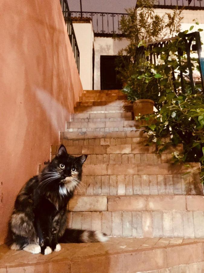 Riad Rockech Marrakesh Exterior photo