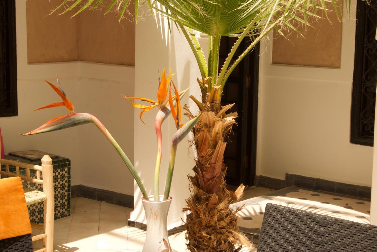 Riad Rockech Marrakesh Exterior photo